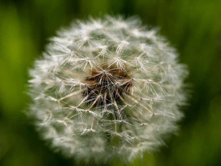 flickr-Jim-Lukach-760×570